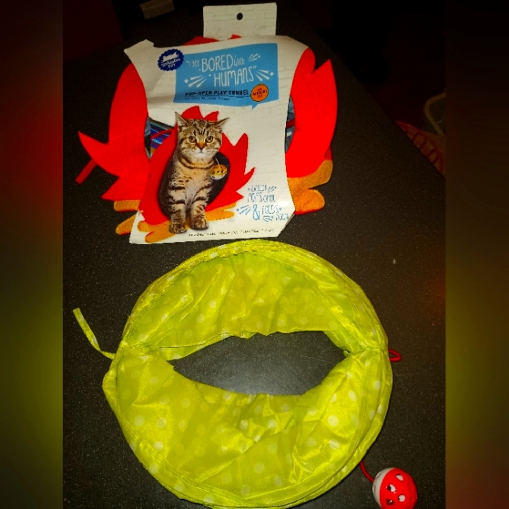 Cat toys house and collar